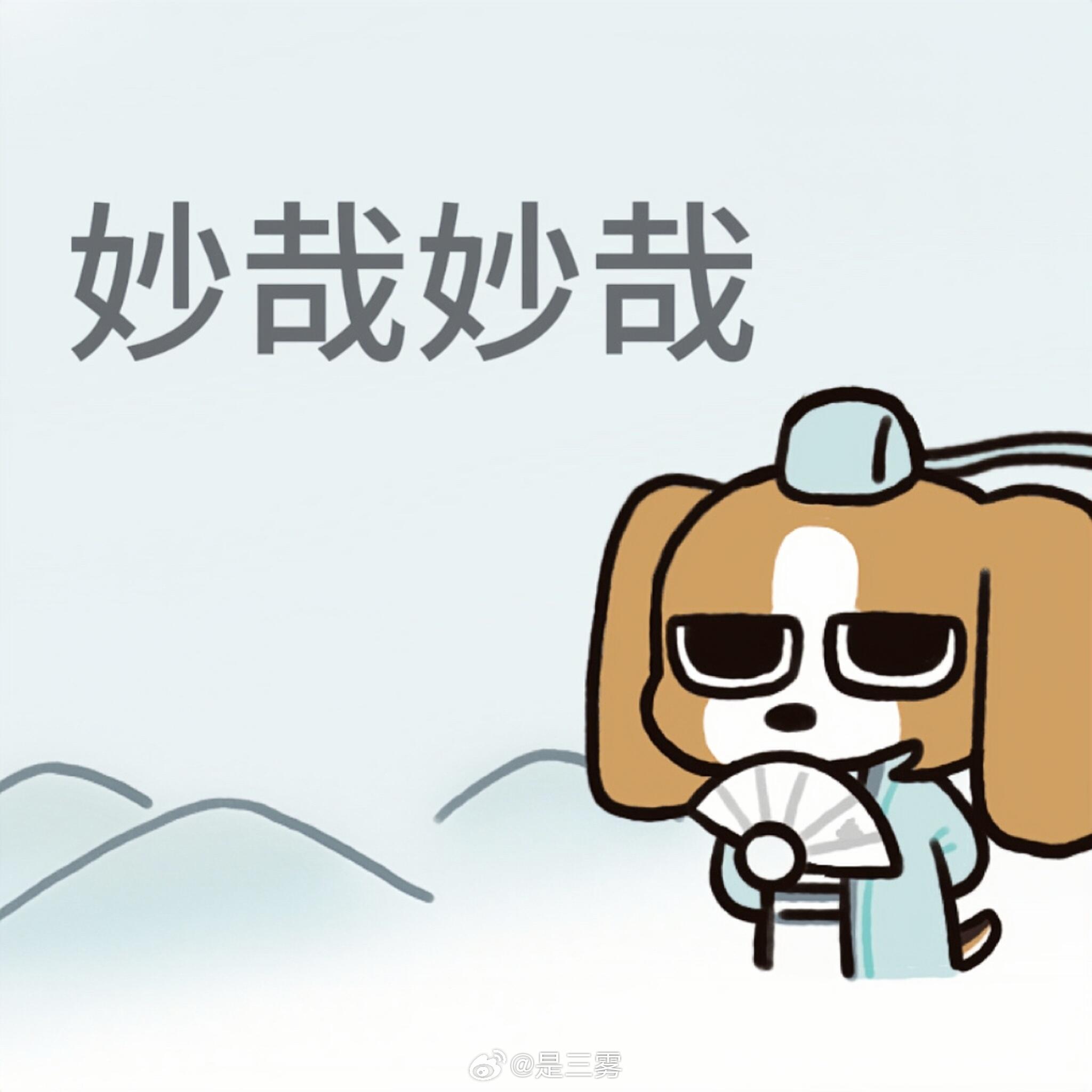 去南方玩的时候经常见到路边有人卖花，不是那种包装好的玫瑰雏菊，是几小串一小筐的茉
