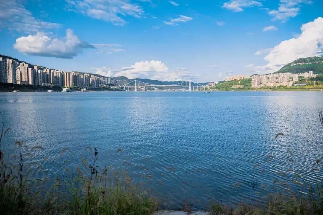 万州财政收入接近百亿大关！

2025年万州全区一般公共预算收入97.31亿元，