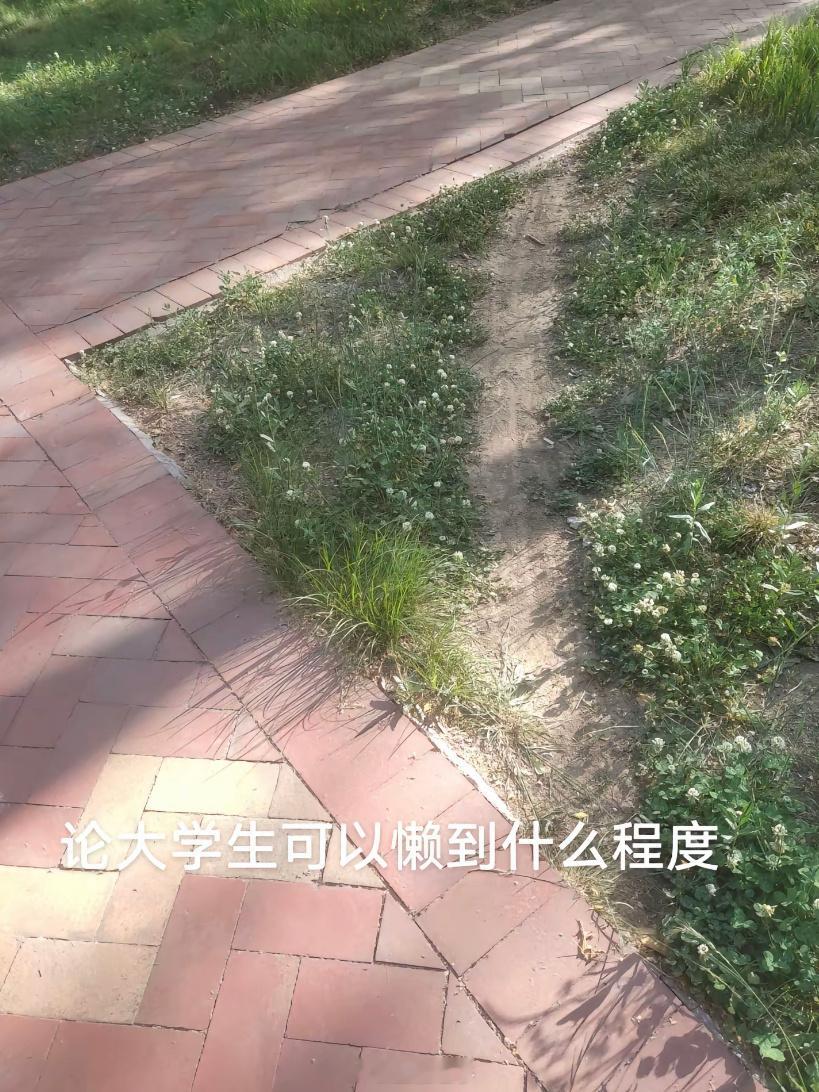 论大学生可以懒到什么程度[喵喵] ​​​