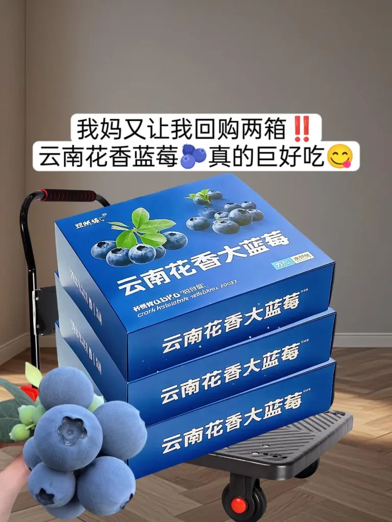 董老师强烈推荐的云南花香蓝莓！咬下的瞬间，饱满果肉裹挟着汁水在齿间爆开...