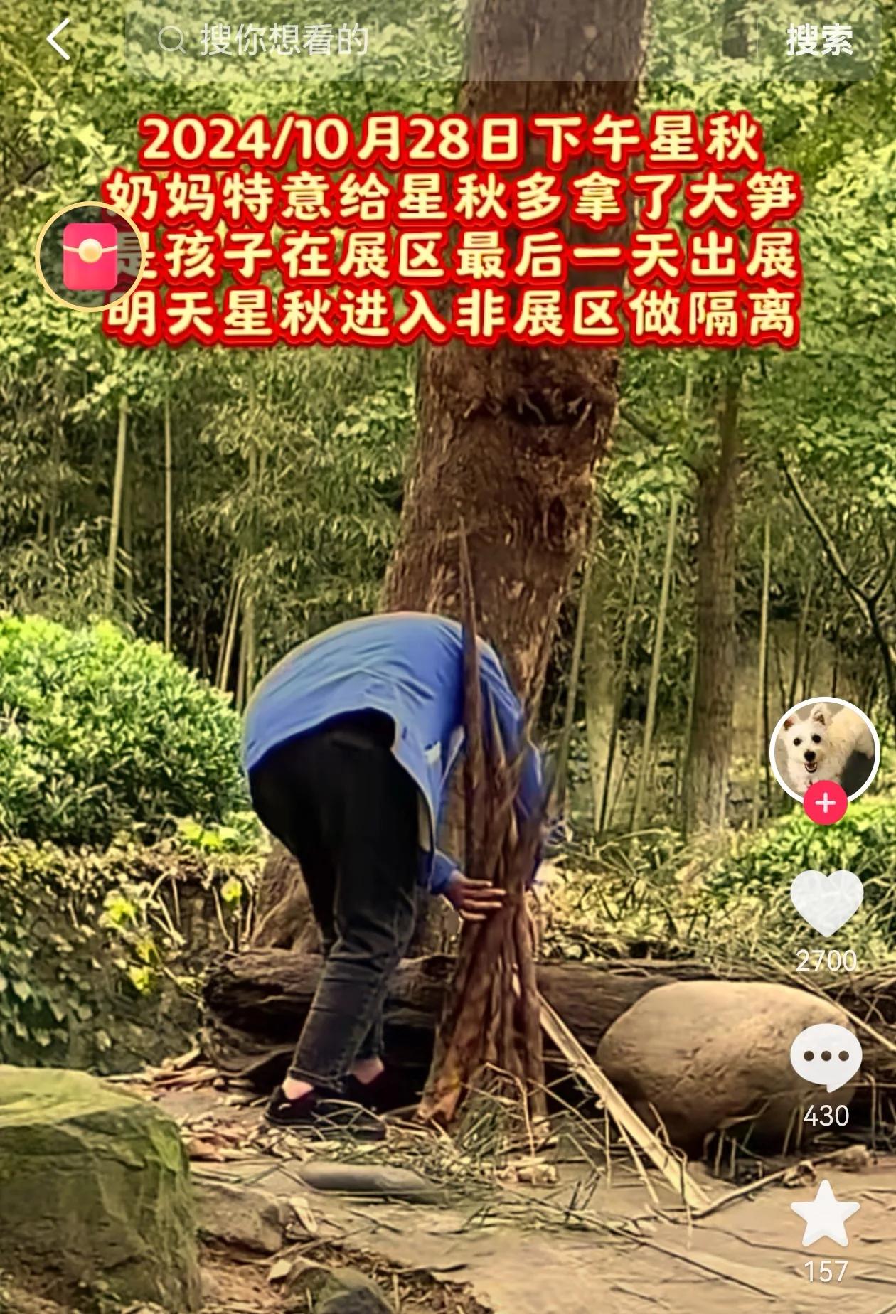 星秋和怡兰🐼
即将进入隔离准备去往澳大利亚🇦🇺
最后一天奶妈给了好多笋笋