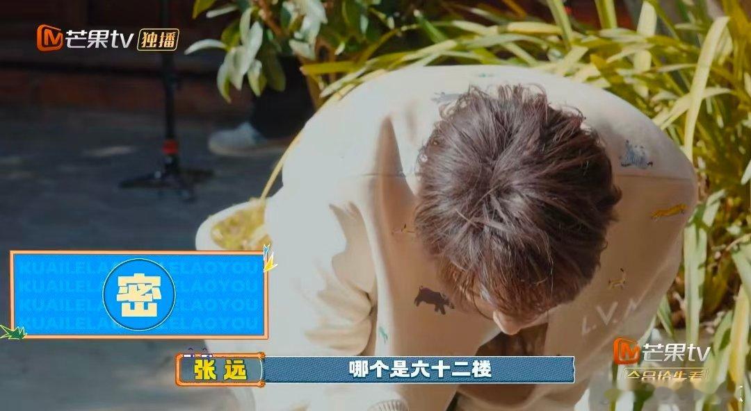 张远苏醒一个卧龙一个凤雏快乐老友记快乐老友有风季快乐老友记最搞笑一幕！张远苏醒比