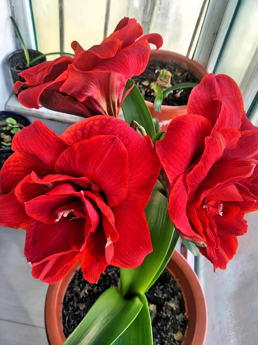 说出来不怕大家笑话，
我是六O后，今年五十七岁。

现在我谁都不惦记，心里最放不