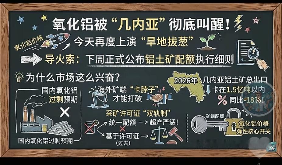 氧化铝沉寂了大半年，
今天终于被“几内亚”三个字炸醒了！
几内亚官方放话了：下周