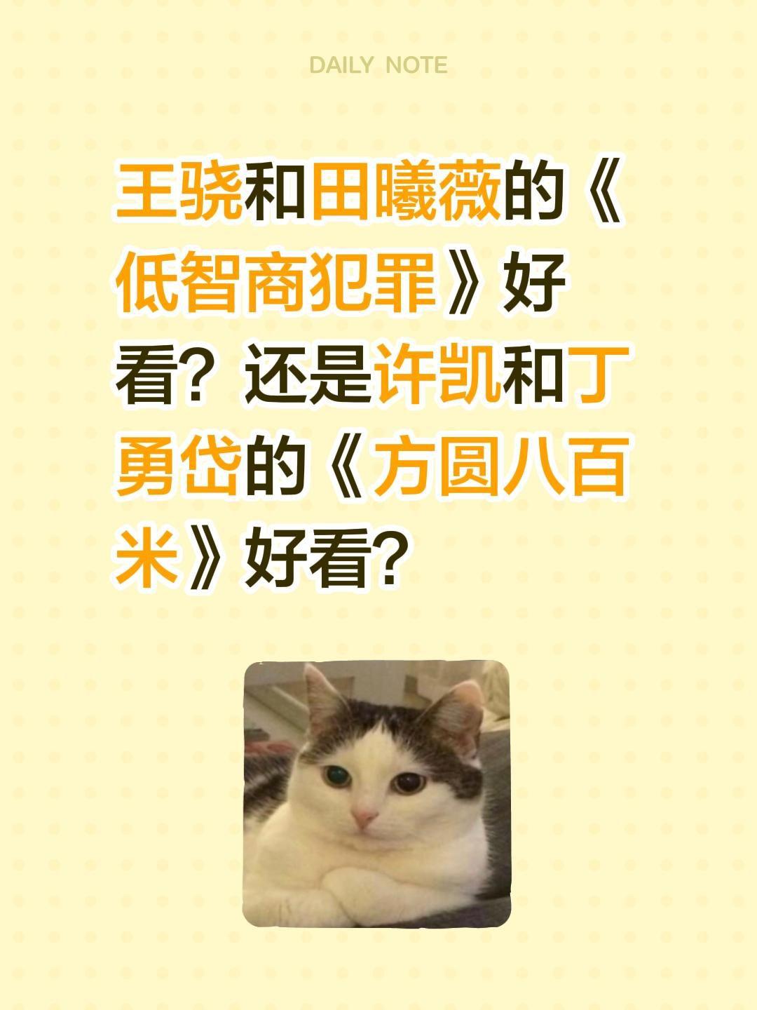王骁和田曦薇的《低智商犯罪》好看？还是许凯和丁勇岱的《方圆八百米》好看？方圆八百