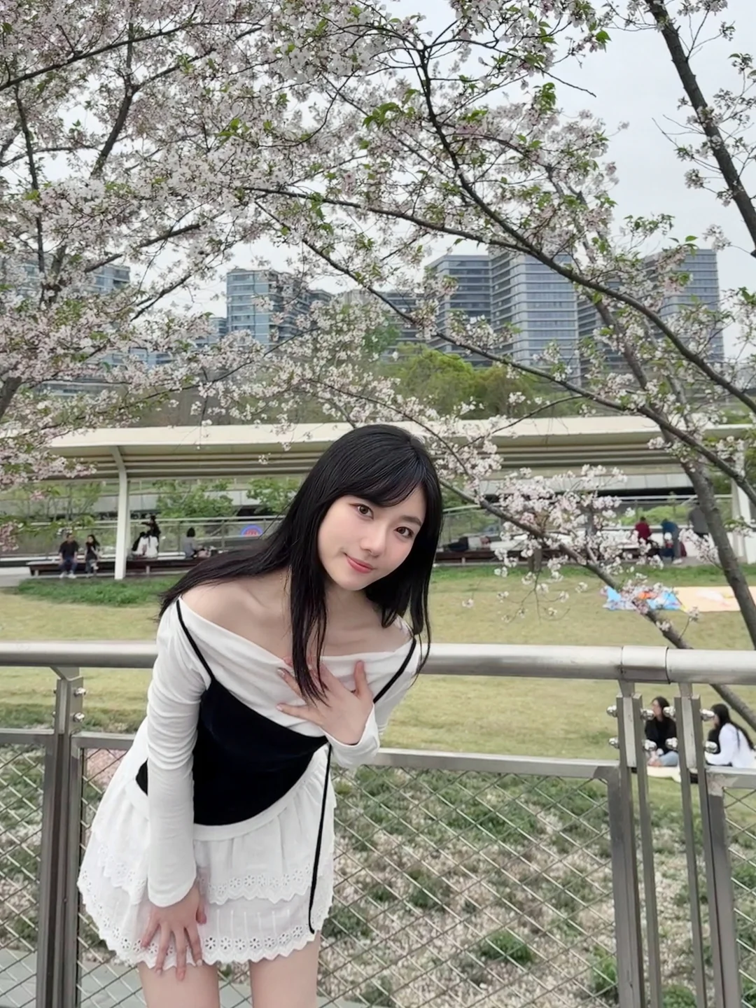 淡淡的就顺顺的🌸