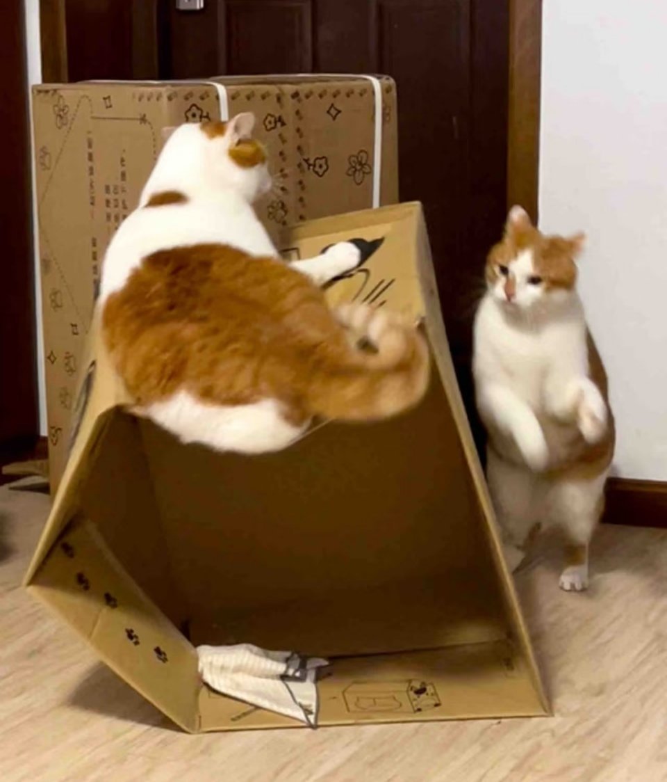 时间静止…… 