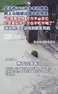 太遗憾了！云南丽江，一女子养了30年的乌龟突然不见了，女子找遍了家里的每个角落也