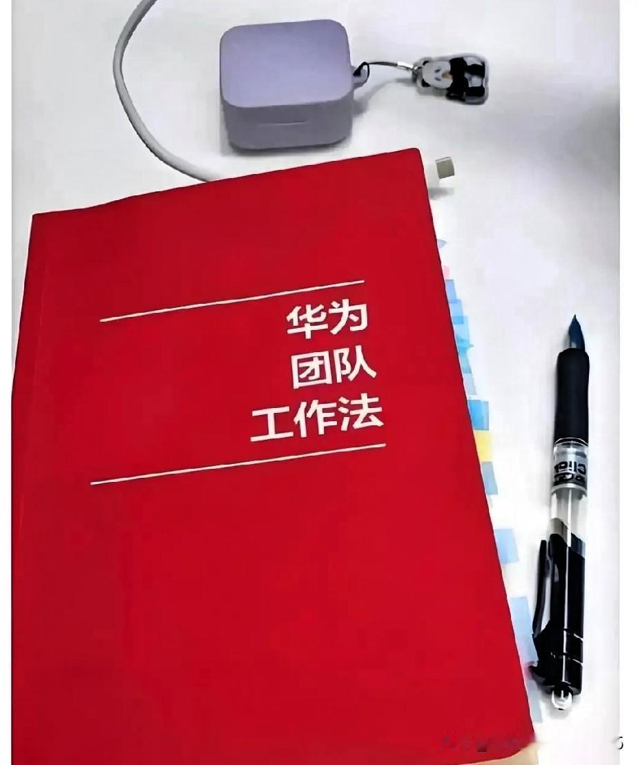 华为那条“正职撤职，副职不许接班”的规矩，初听确实挺冷血，甚至有人觉得浪费人才。