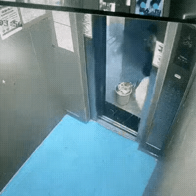 嗨！嗨！嗨！往电梯里倾倒垃圾的女子，这是电梯间，不是垃圾场！
自己家的垃圾，你不