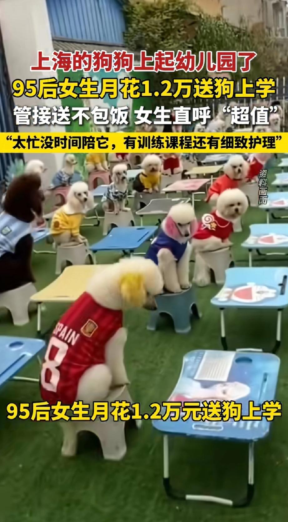 我的认知颠了！
 
每天起早贪黑，上班受气、下班赶路，辛辛苦苦熬满一个月，到手也