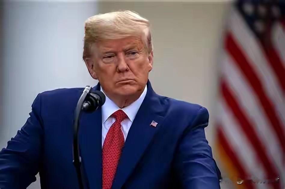 成千上不的美国人走上街头，烧毁肖像，万人对峙，要求弹劾特朗普。

美国那可是热闹