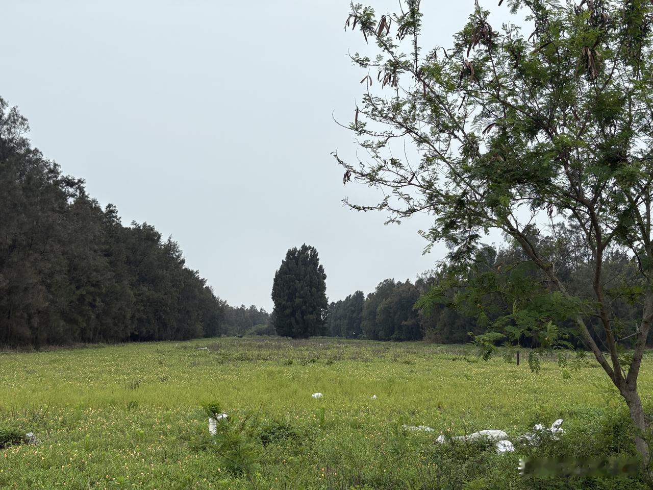 迪斯尼优速通到底合不合理？
节假日其实不仅仅是迪斯尼一家出现这种问题，你看每年天