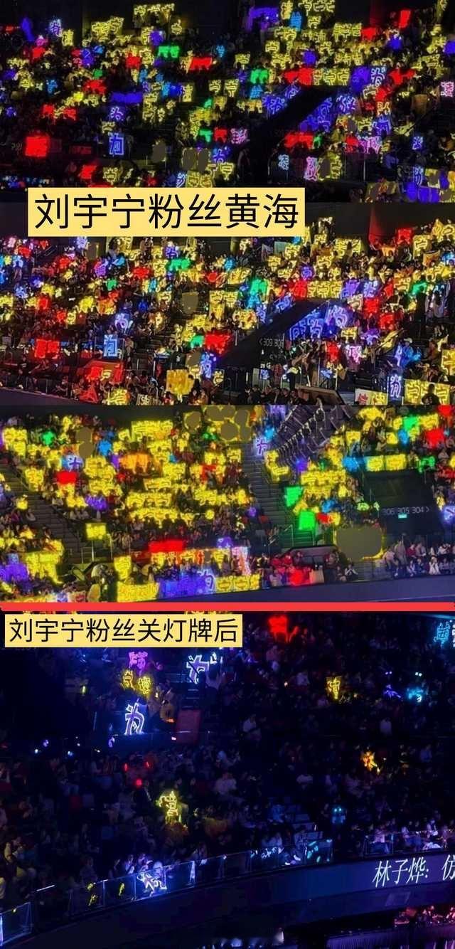 刘宇宁粉丝到场的居然有这么多吗！尖叫之夜内场