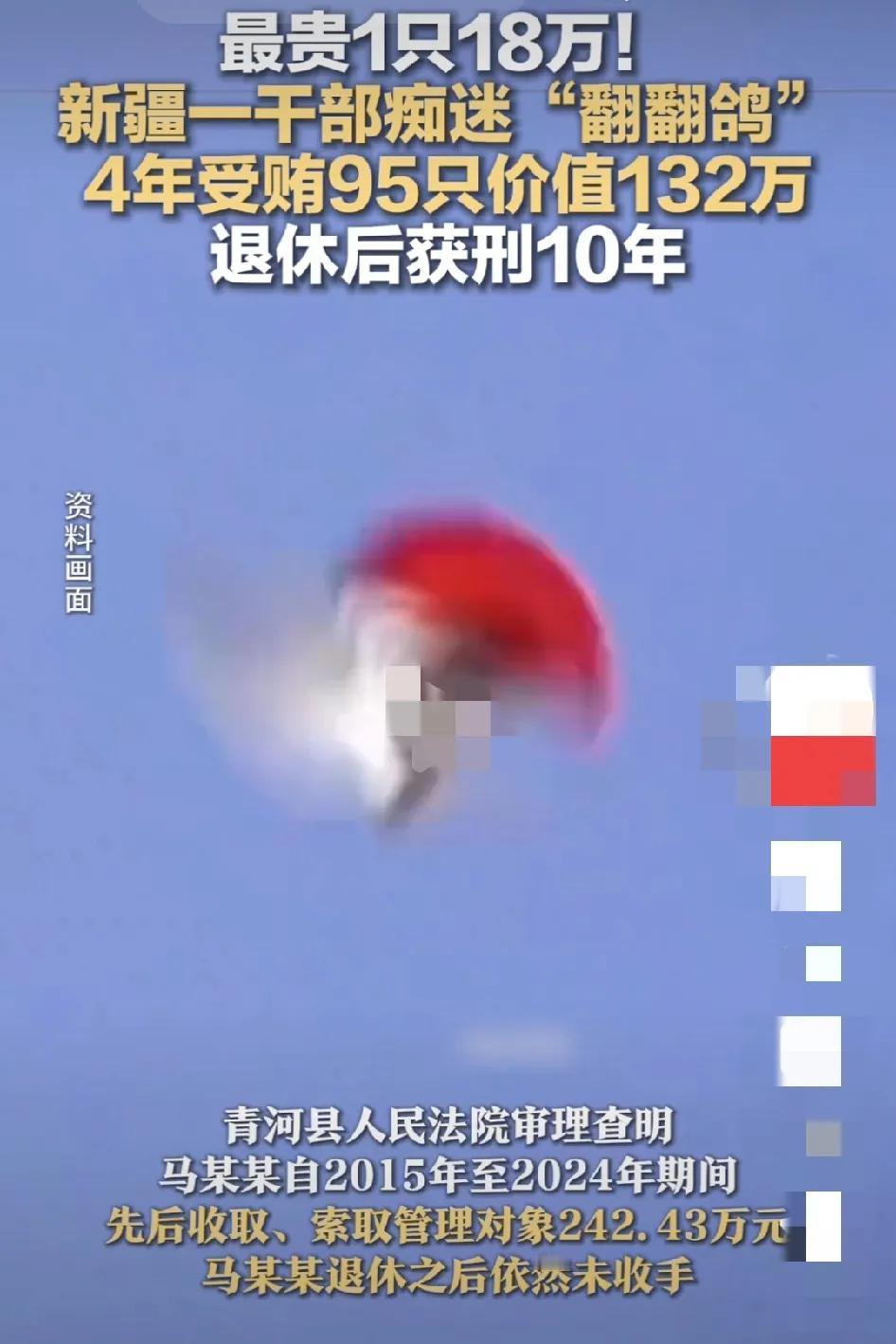 最贵18万
        痴迷翻翻鸽，翻翻哥翻车进去了！翻翻鸽继续在外翻飞，可