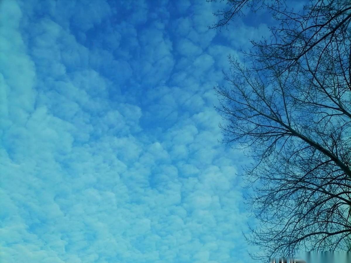 甭管之前传得多热闹，都没用。
真正的风向标，还得看老师们自家的房子。
青岛理工大