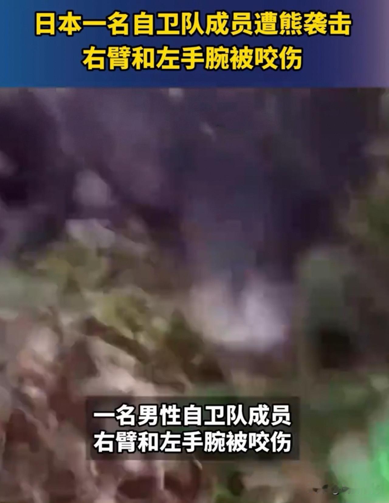 4月22日日本一名自卫队成员被熊咬伤
最近4月17日美国阿拉斯加州一处军事基地内