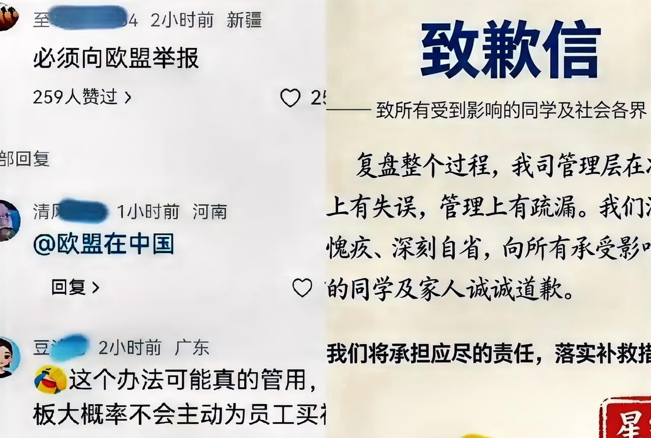 星宇这次怕是翻不了篇。网友发现，不少学生已经把投诉信发给了星宇的海外客户——几家