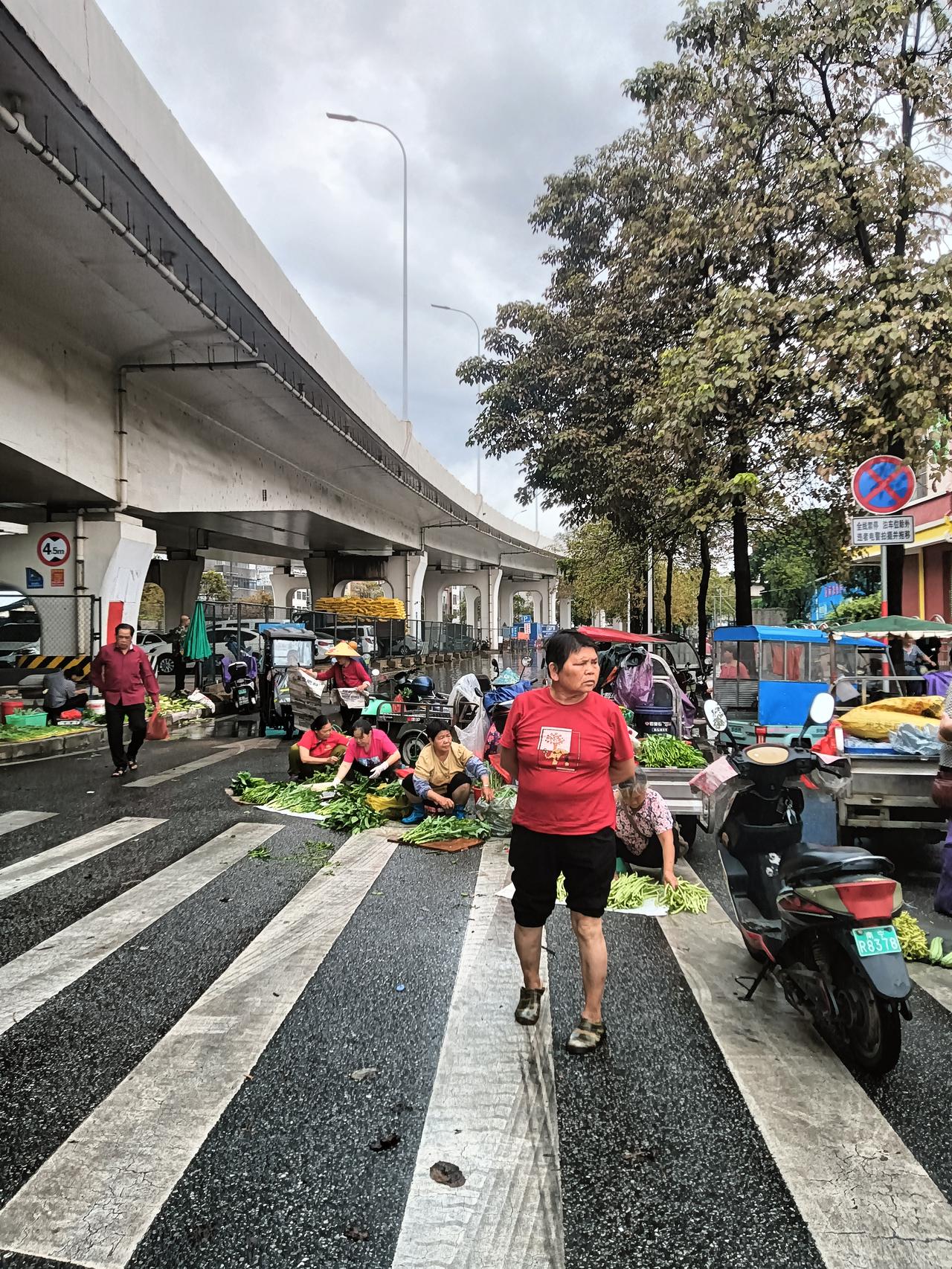 贵港市城区昨晚雷电交加下了一夜大雨，早上去港北区罗泊湾桥底市场买菜。所见这里一片