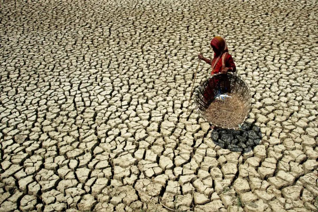 46℃高温炙烤！6亿人缺水求生，看懂印度年轻人拼命外逃真相
 

 
盛夏时节的