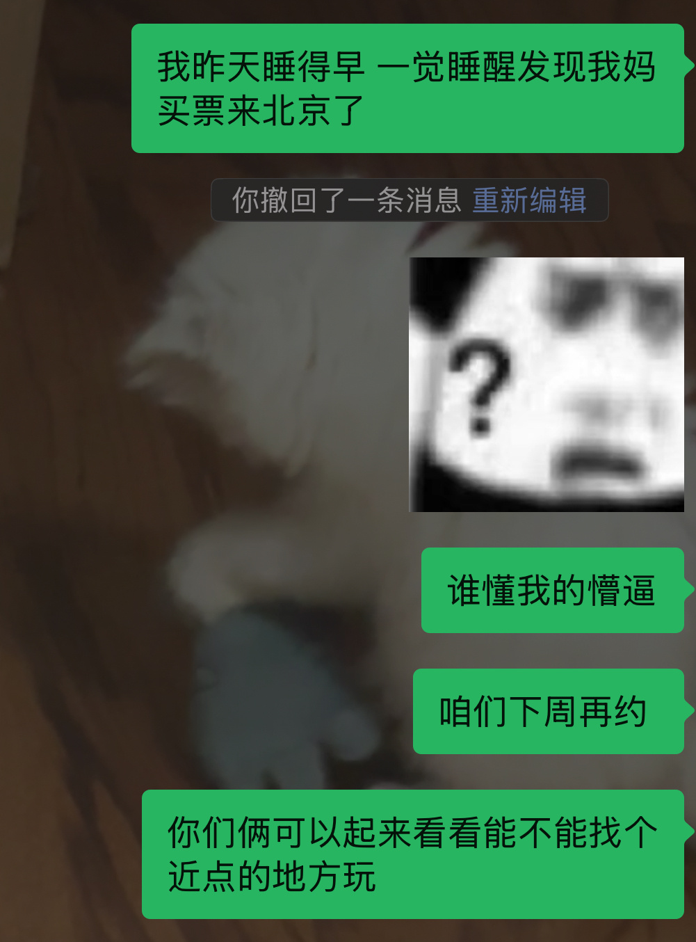 卧槽睡得早的坏处来了 