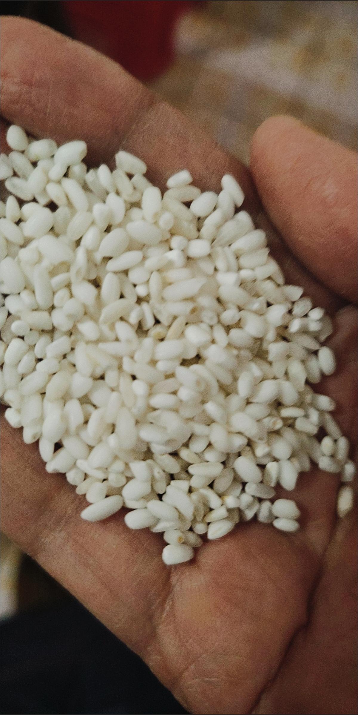 都气糊涂了。想着明天冬至，做点有意义的事，做点甜米酒考验自己。今晚就要泡米，打开