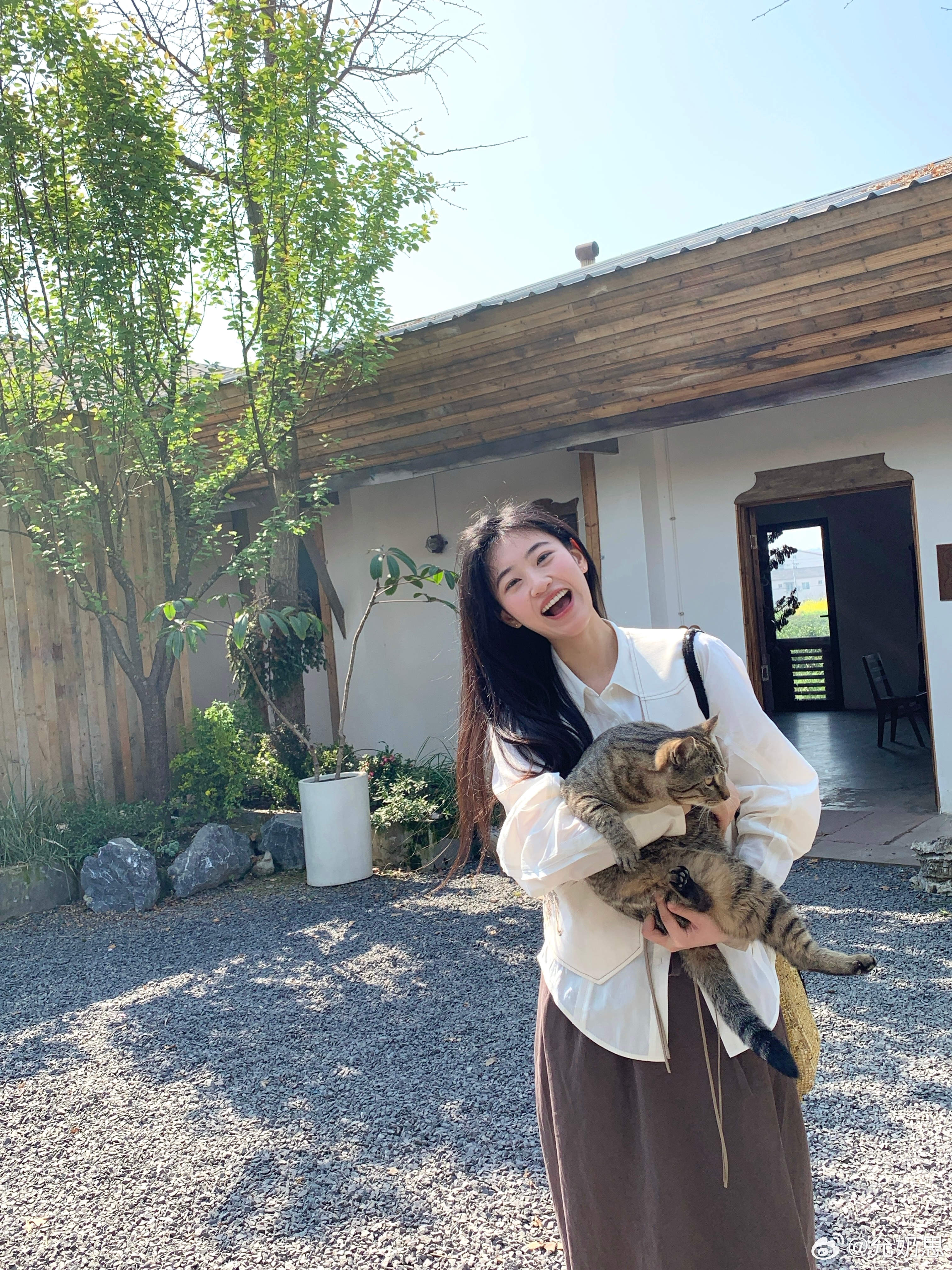 短暂入夏了几天☀️ ​​​