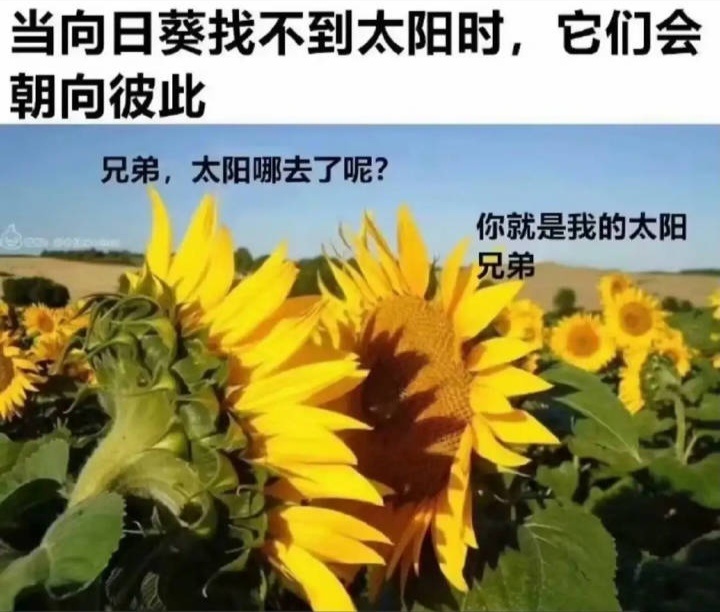 7096兄弟！ ​​​