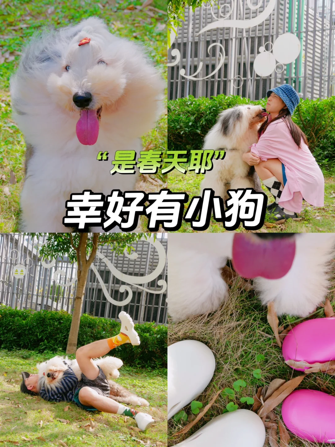 古牧：是春天！是春天耶！