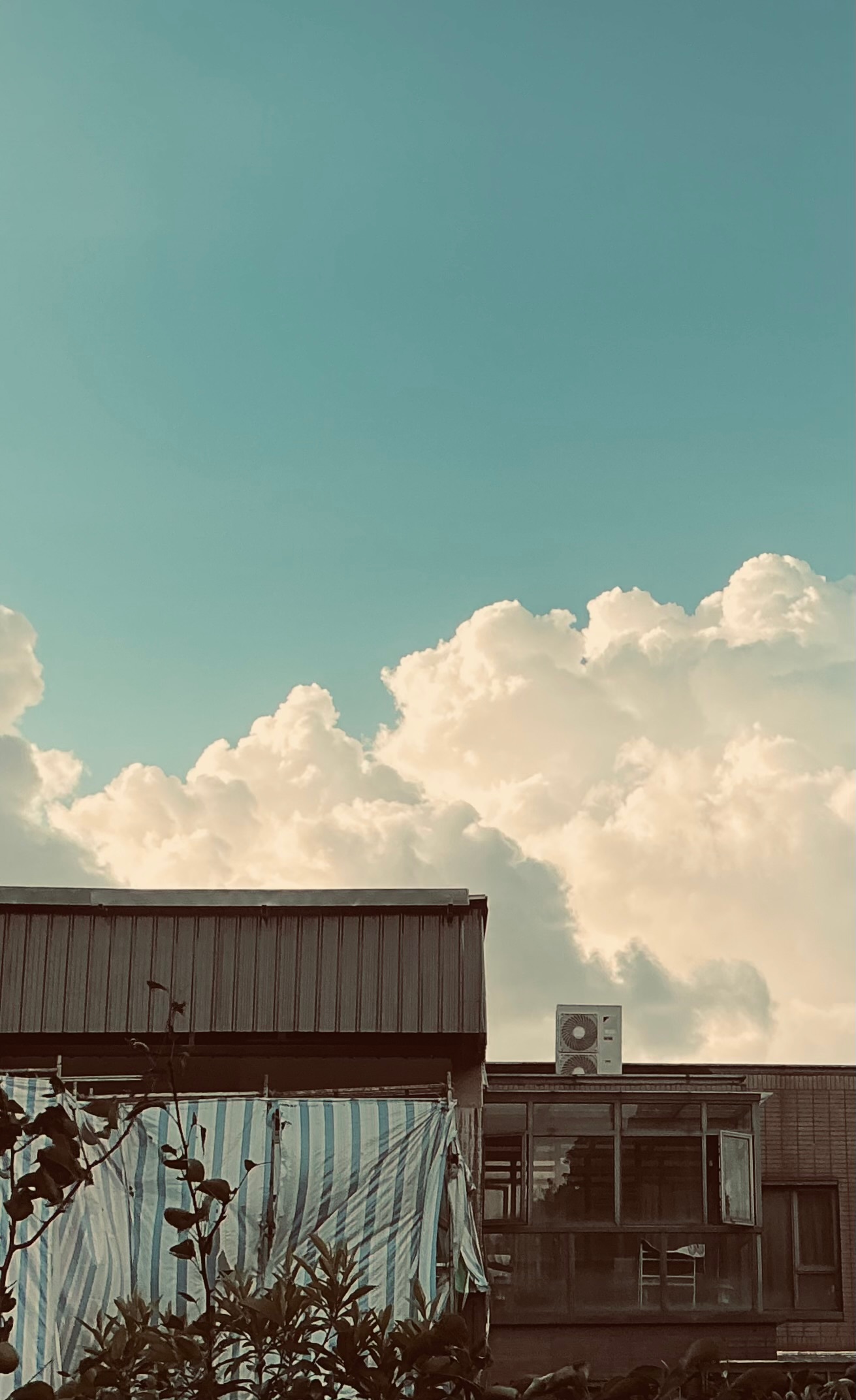 【看22778片天空】 