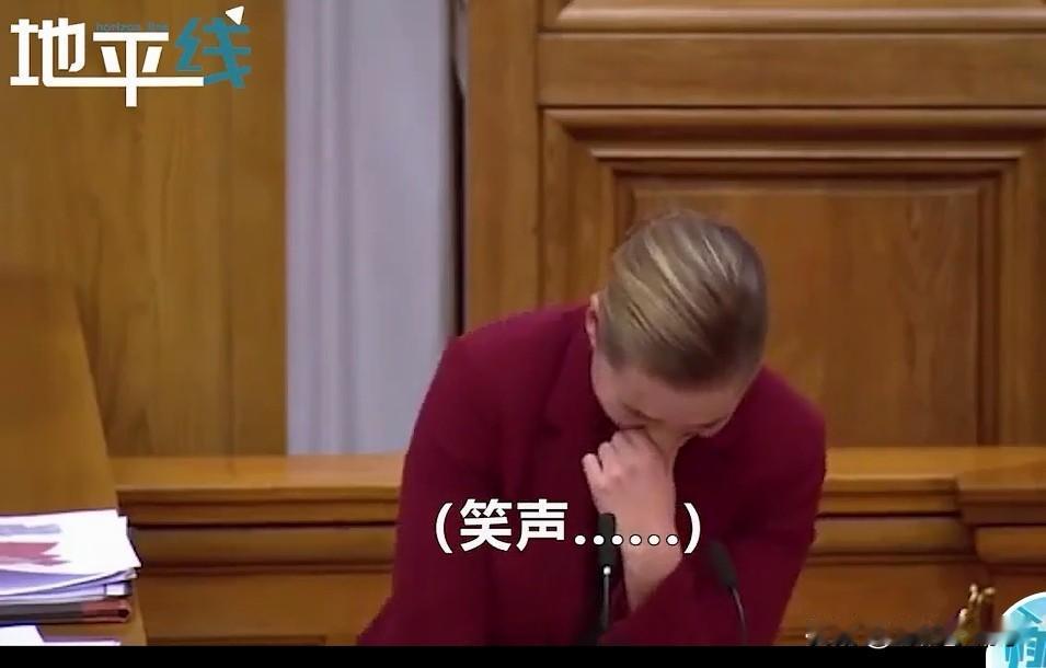 当初丹麦首相在议会上笑场的画面还历历在目，因为丹麦动物园的大象离不开骆驼的故事笑
