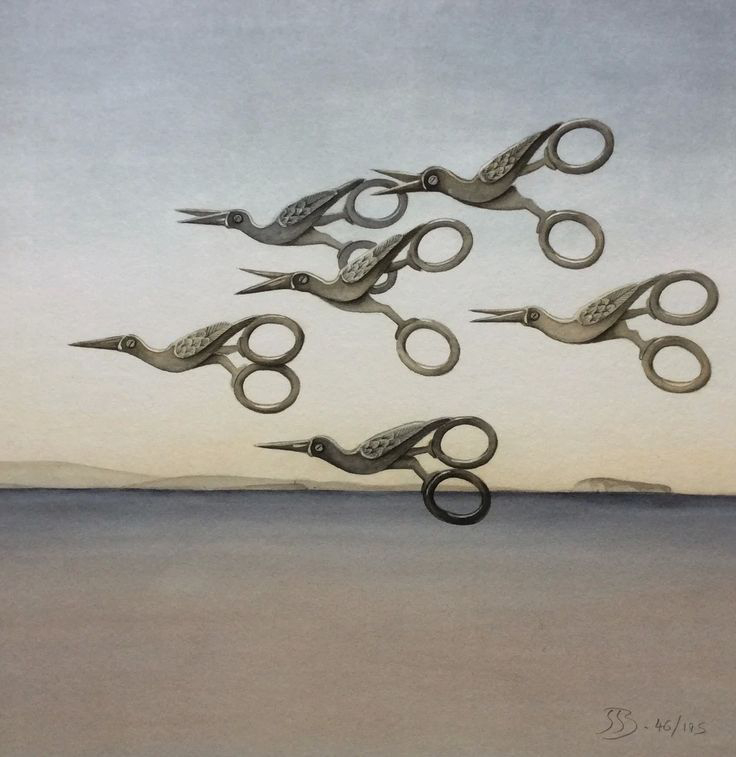 Jenny Barron 绘画作品 剪刀鸟✂️ ​​​