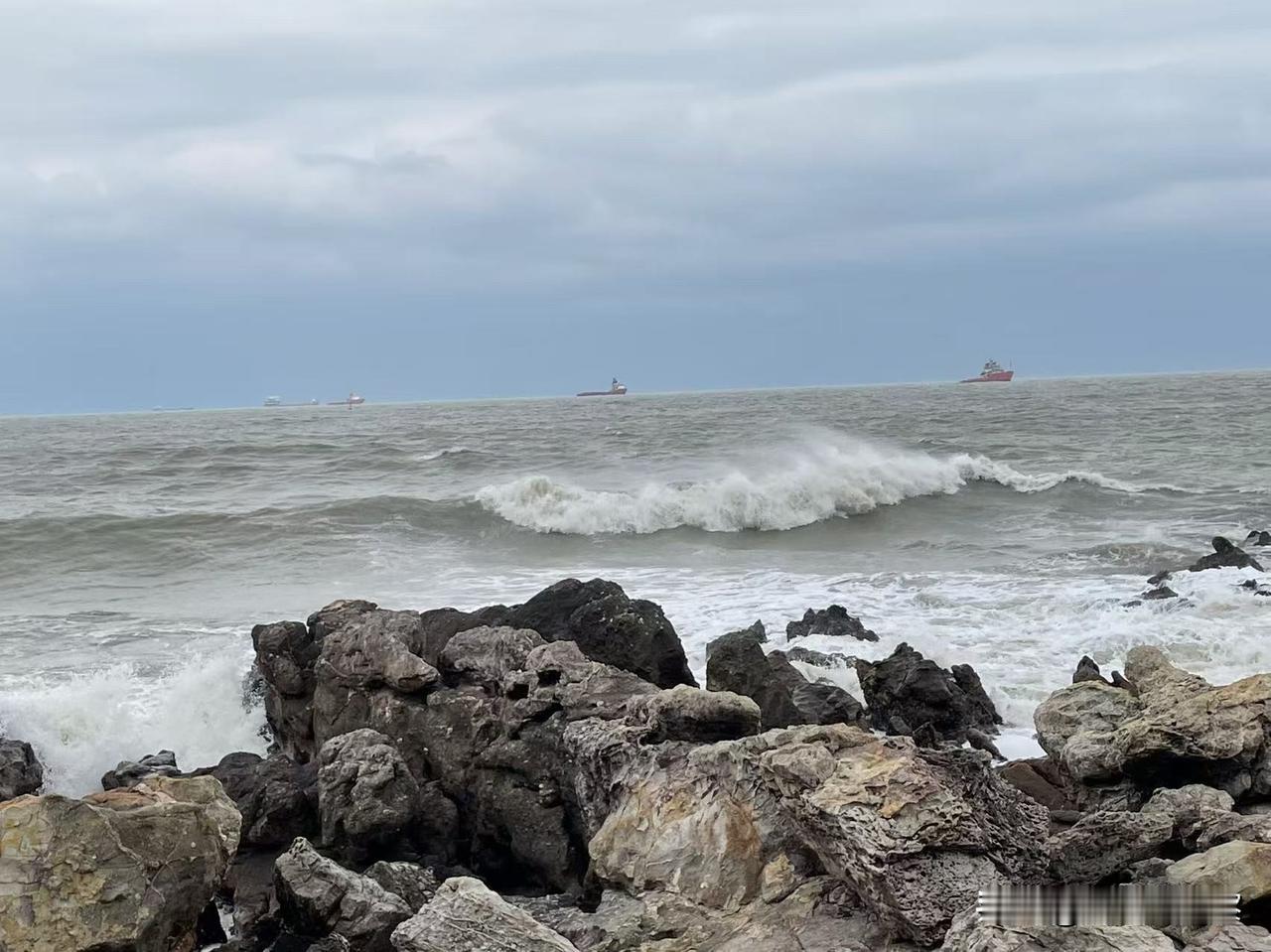 冬日生活打卡季