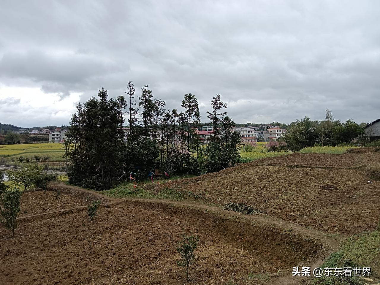 低端制造业向中西部迁移不仅可行，而且完全可以借鉴当年的乡镇企业模式解决就业与新农