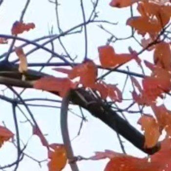阳光信用阳光‎信用每日‬一善 你应该去爱这山、这水、这世间万物，以及鲜花与你自己