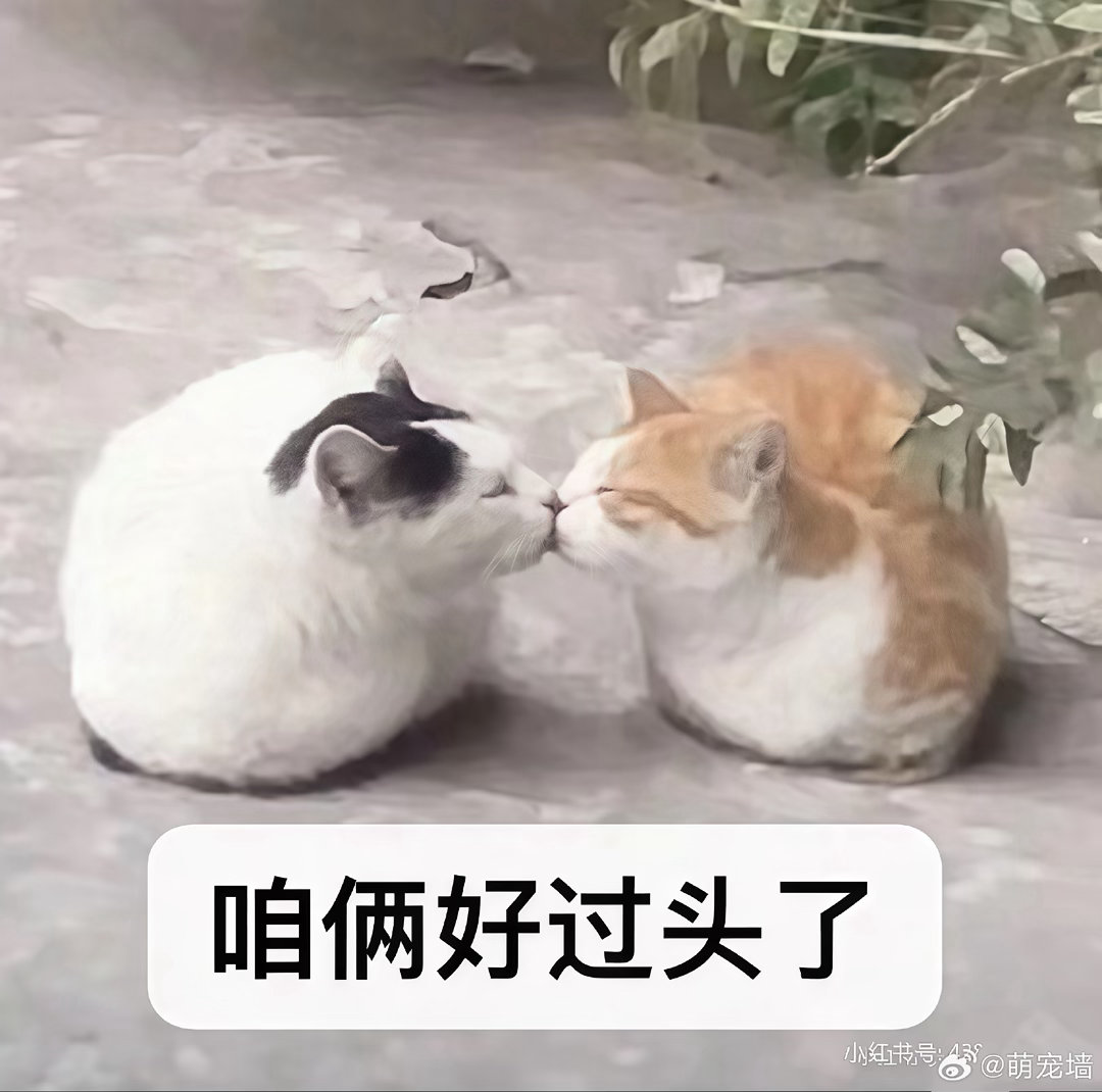 zzg看笋羊王瞬 