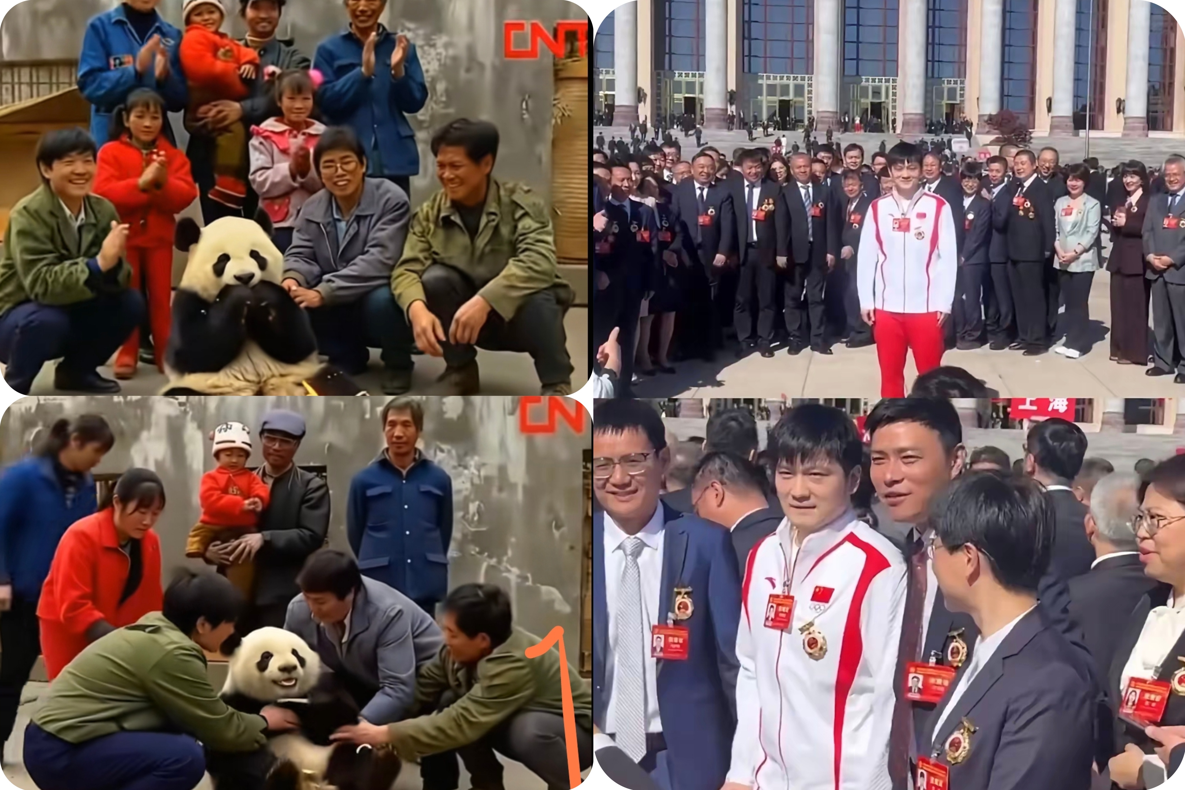 大熊猫与樊振东:一帧好形象且好可爱的对比图。 