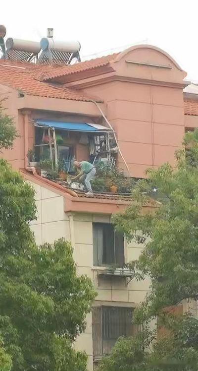大爷，这花是非养不可吗 