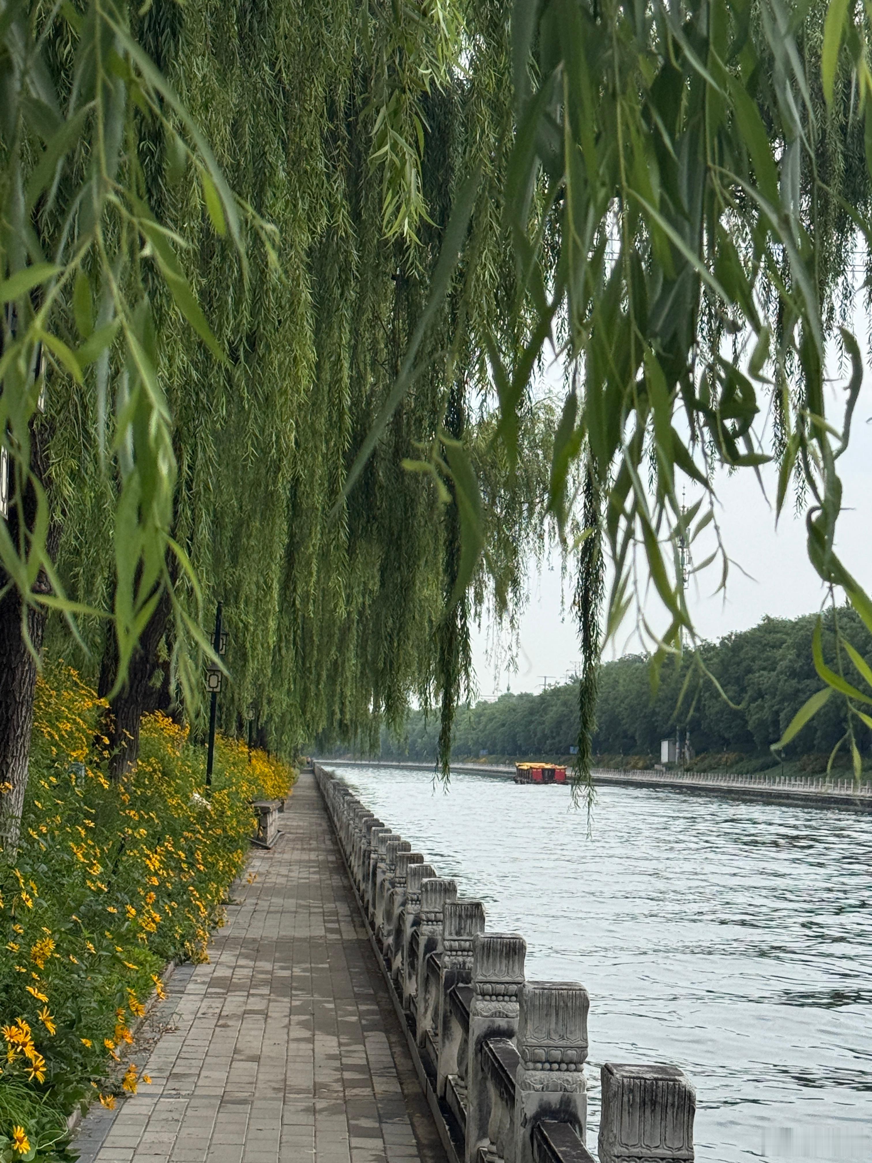 画舫载得闲云去，一路繁花伴浅流。 
