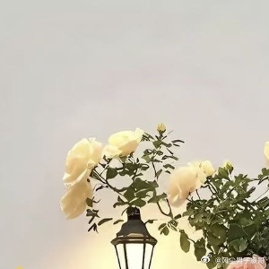 阳光信用  与其焦虑，不如努力；保持热情，保持前行。很少有横空出世的幸运，更多是