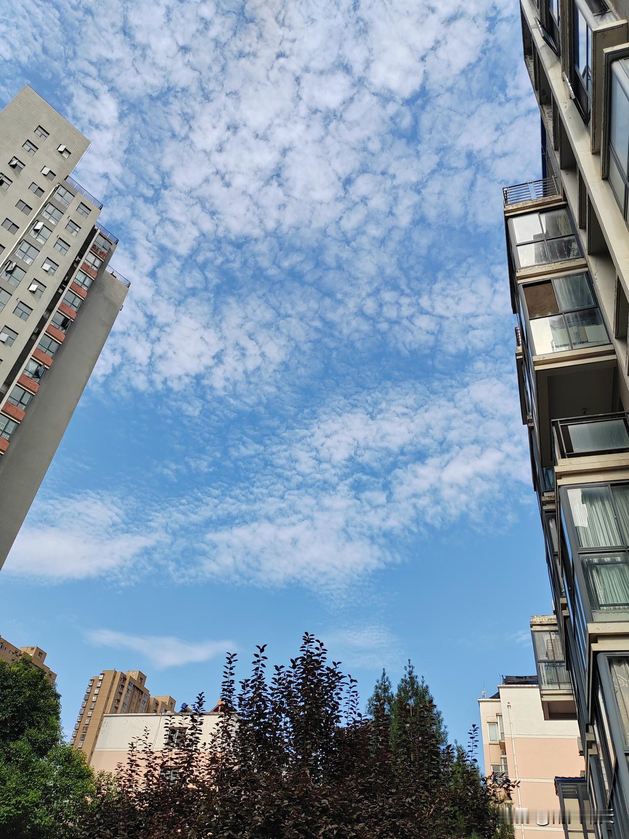 上联：昨夜狂风暴雨

下联：今朝风和日丽

横批：气象更迭