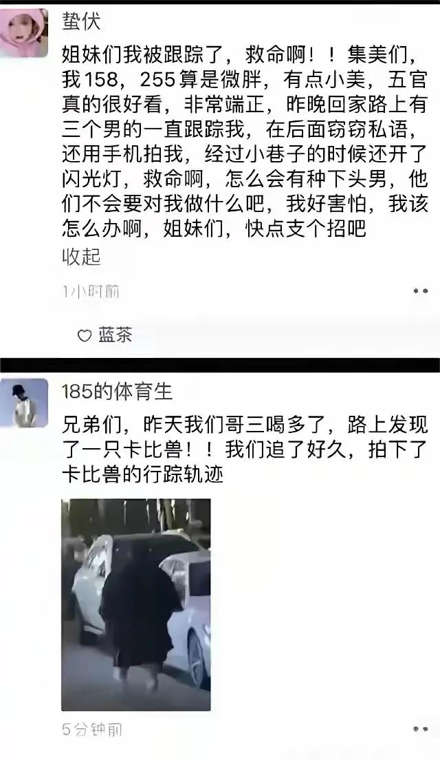 看一次乐一次