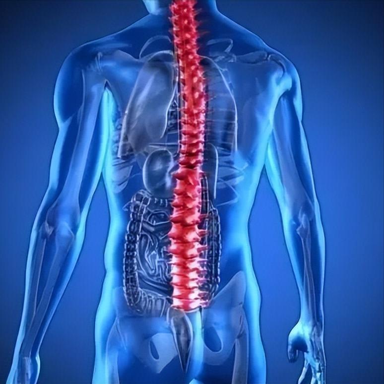 脊髓损伤束带感难受？5个方法助你摆脱束缚！

1.调整姿势
可以尝试从坐姿改为站