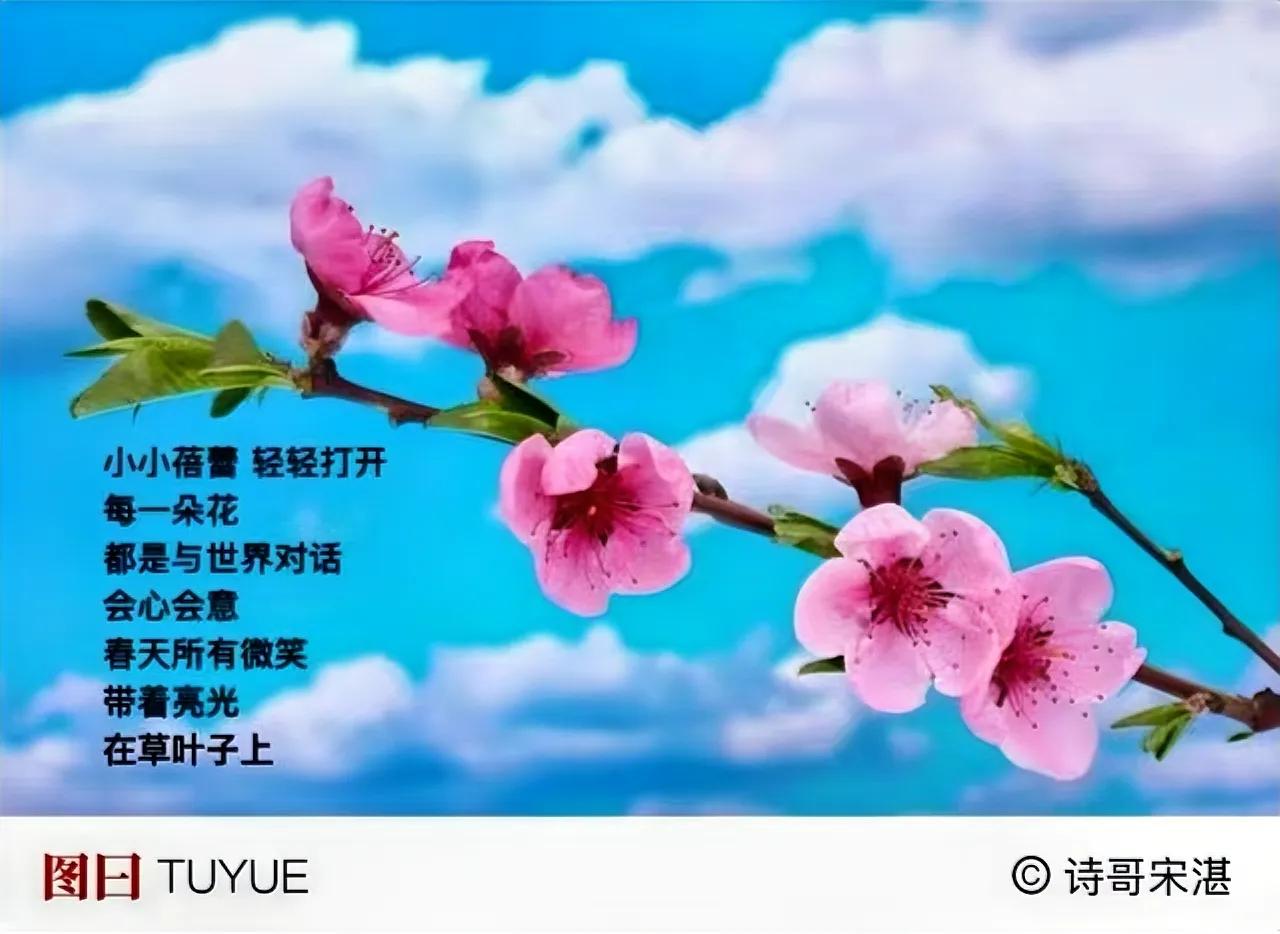 你说 花蕊里
世界广阔无边
一圈一圈   扩散成
偌大春天
．
看花开  今天看