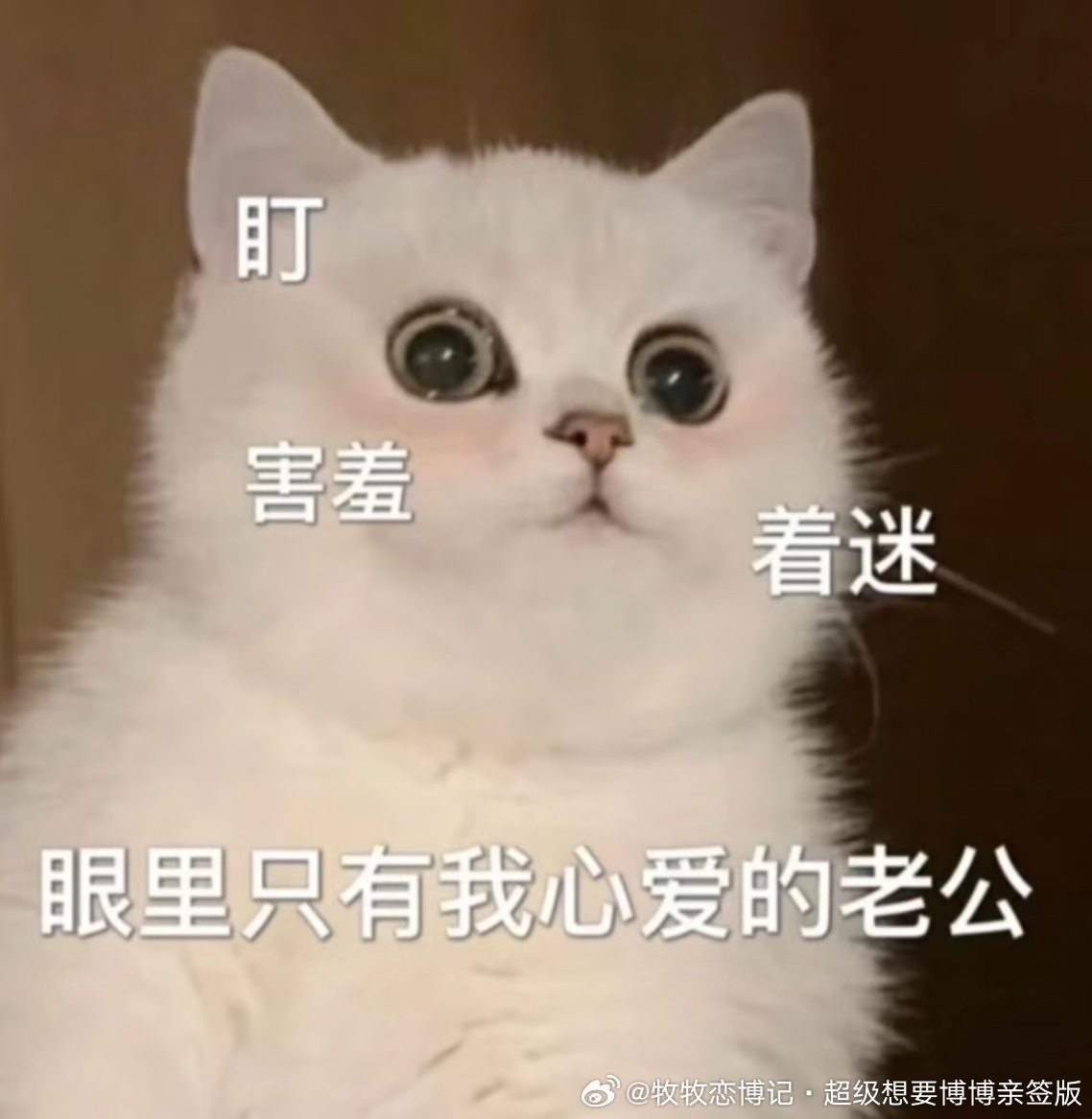 连着两天睡4个多小时   怕不是要修仙 