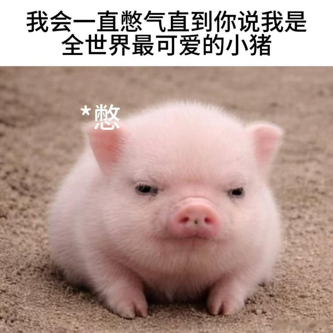 唱完就被录下来先给他老婆看，求夸求认可，哼哼唧唧的给张则雨打视频说没有你一起跟我