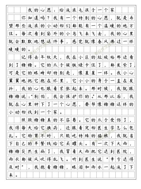 优秀范文《我的心愿》 让毛孩子不再流浪