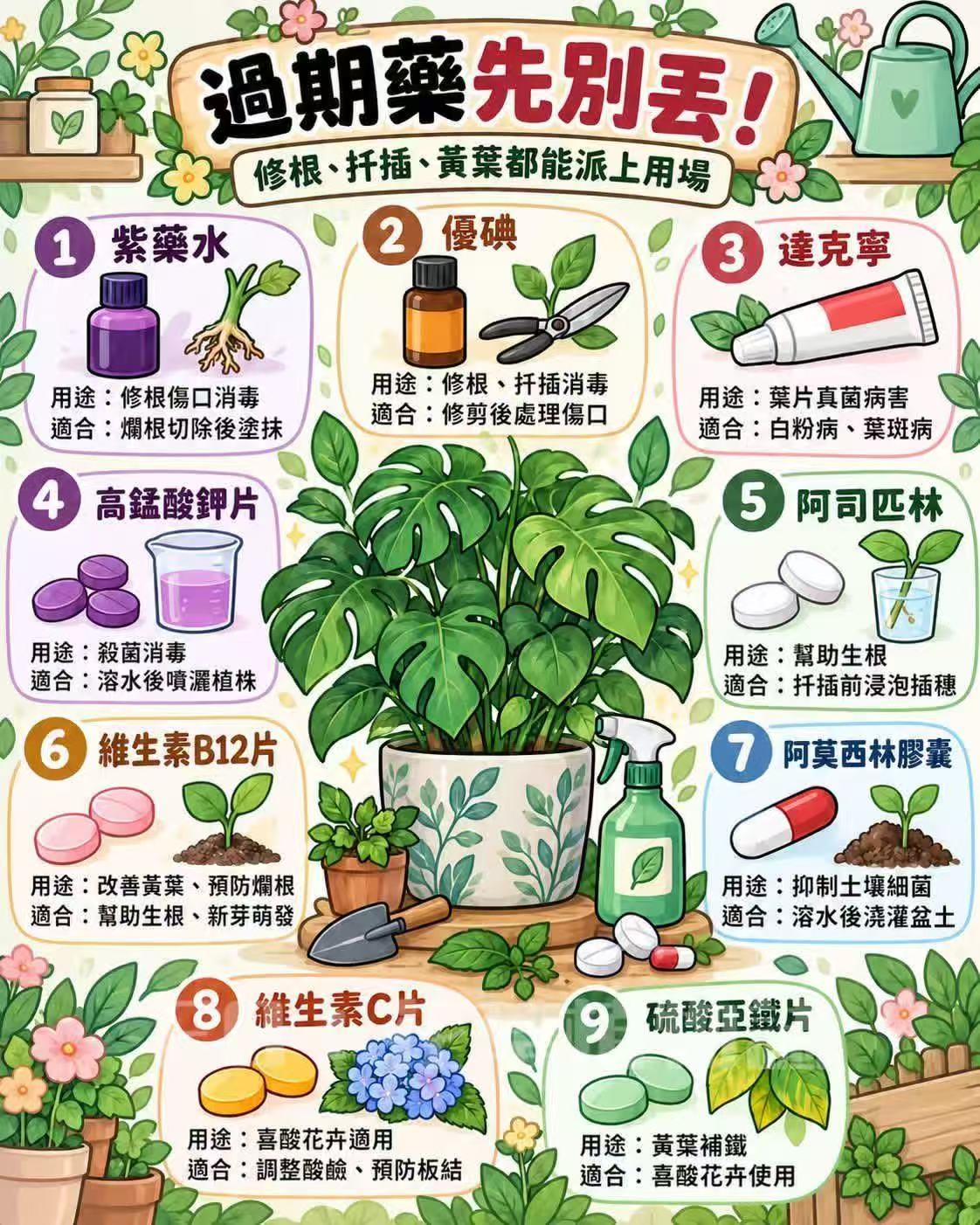 过期药品与家庭花园 ​​​