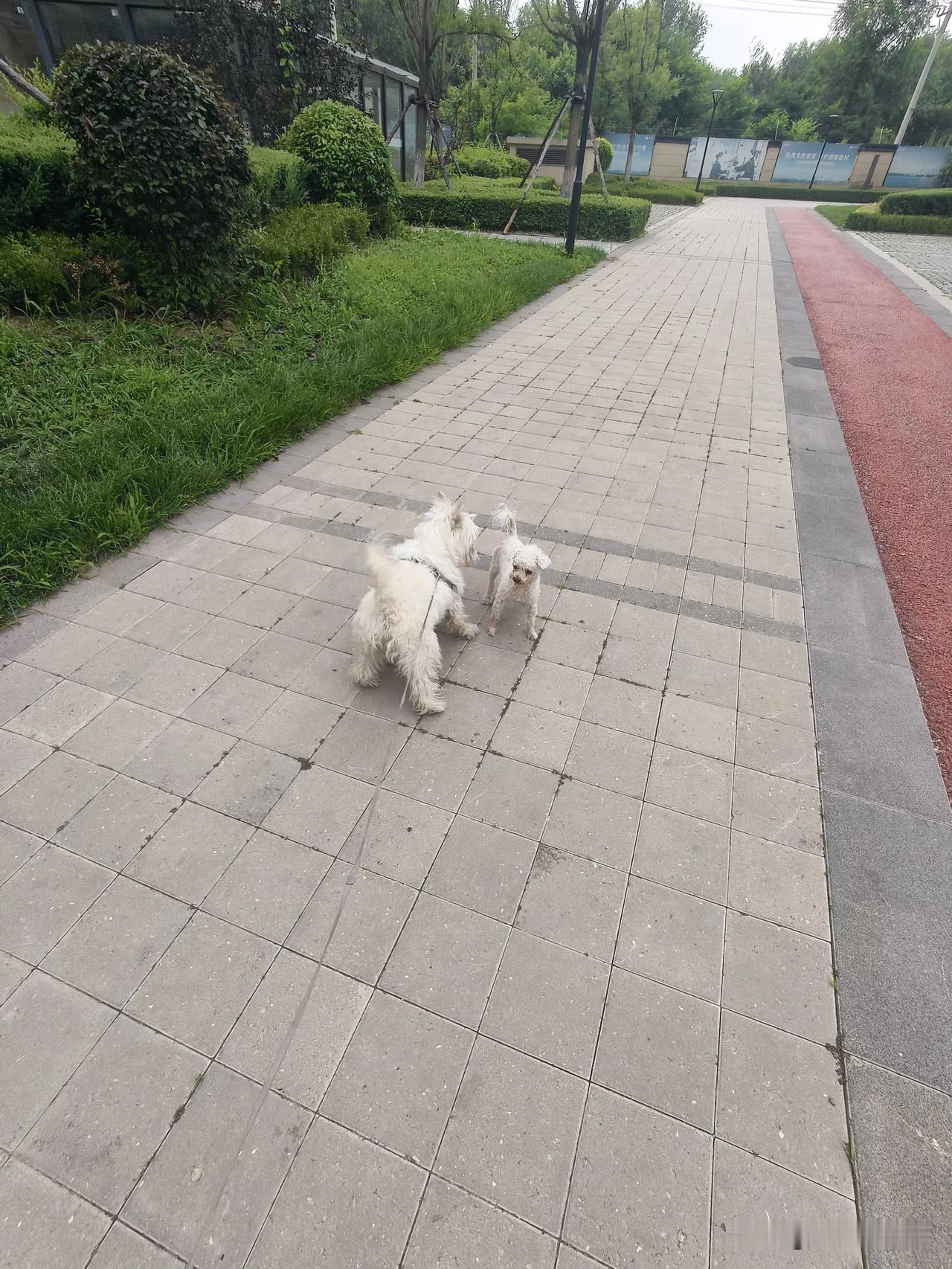 不关心