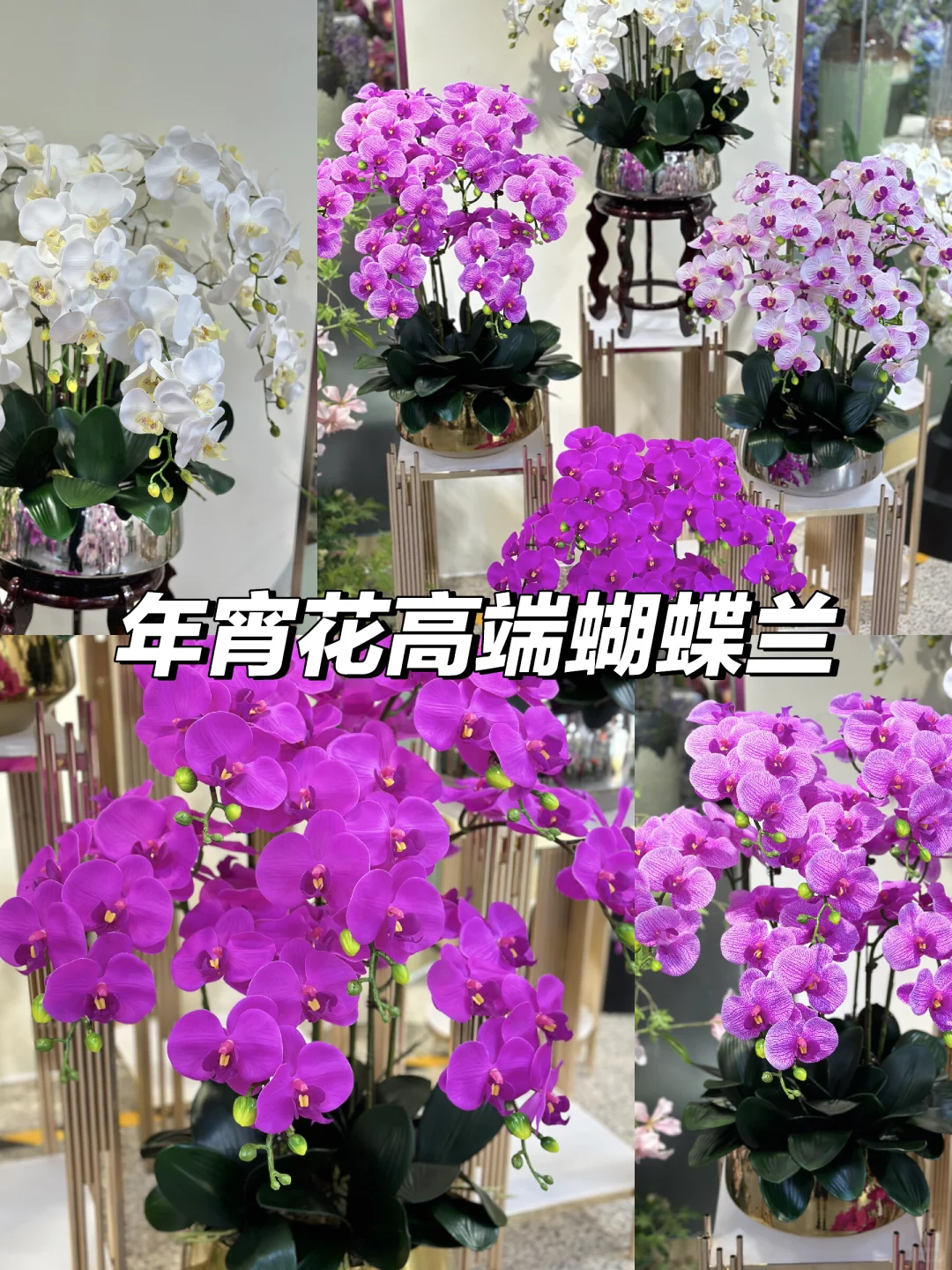 🌺年宵花必备✨高端蝴蝶兰仿真花